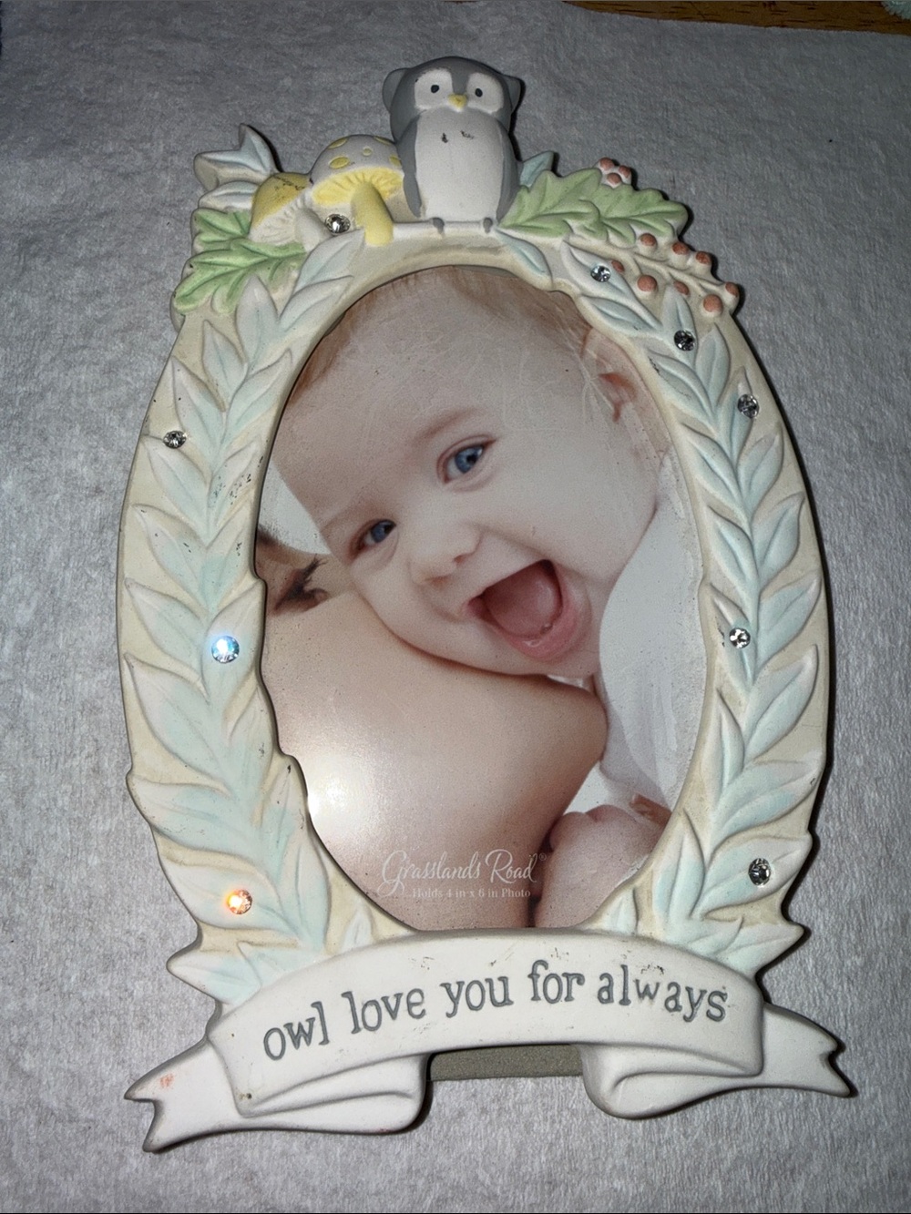 Grasslands Road Cream and Pastel Owl Photo Frame